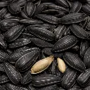 Black sunflower seeds with cracked kernels..webp